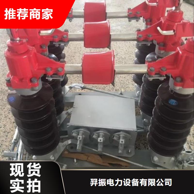 高压负荷开关视频-高压负荷开关(羿振)覆盖地域江苏省宿迁市泗洪|沭阳|淮安|南通|无锡|盐城