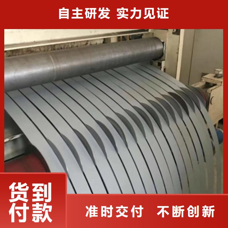 新能源硅钢电工钢	30WGP1700信息