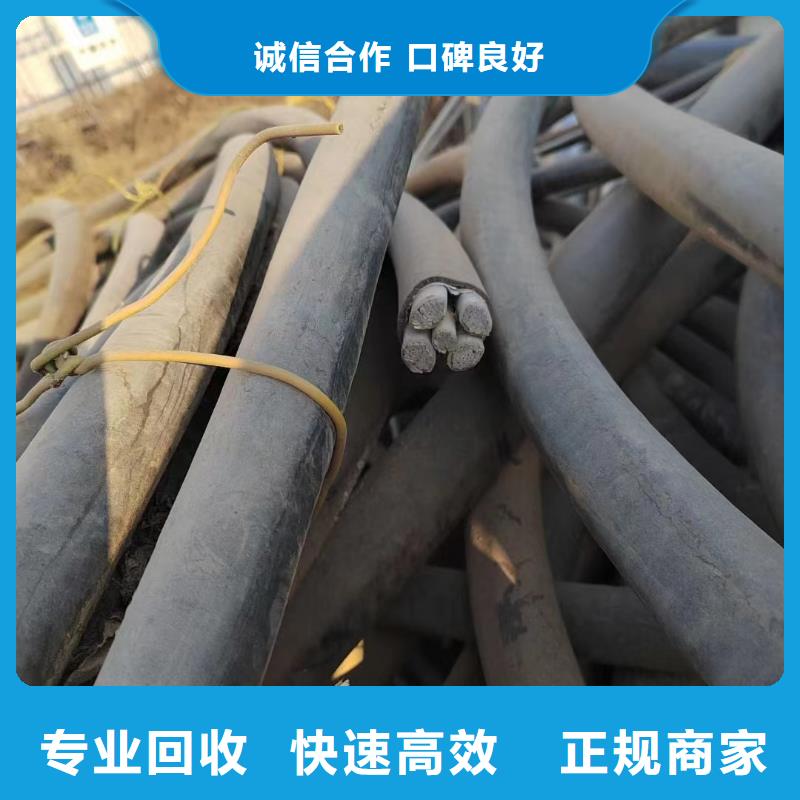不锈钢桥架视频-辽宁省营口市睿越不锈钢桥架可服务区域站前|鲅鱼圈|沈阳|锦州|盘锦|抚顺|葫芦岛|阜新等