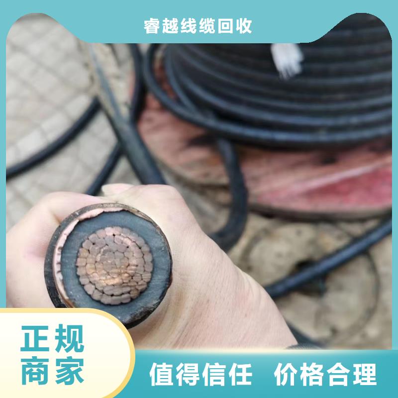 不锈钢桥架视频-辽宁省营口市睿越不锈钢桥架可服务区域站前|鲅鱼圈|沈阳|锦州|盘锦|抚顺|葫芦岛|阜新等