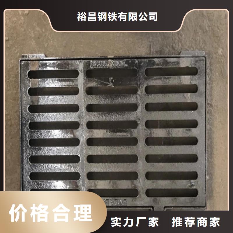 球墨铸铁单篦250*500欢迎咨询