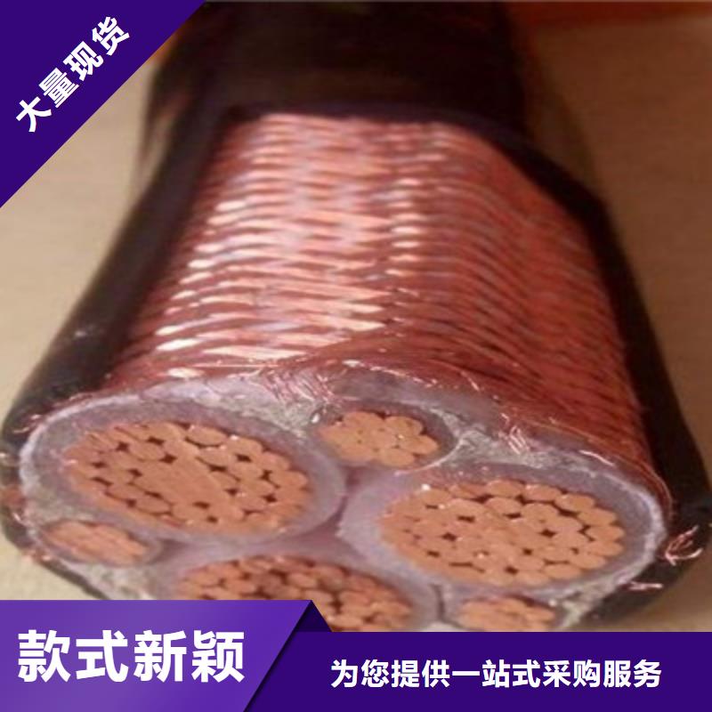 矿用橡套电力电缆,屏蔽电缆诚信可靠