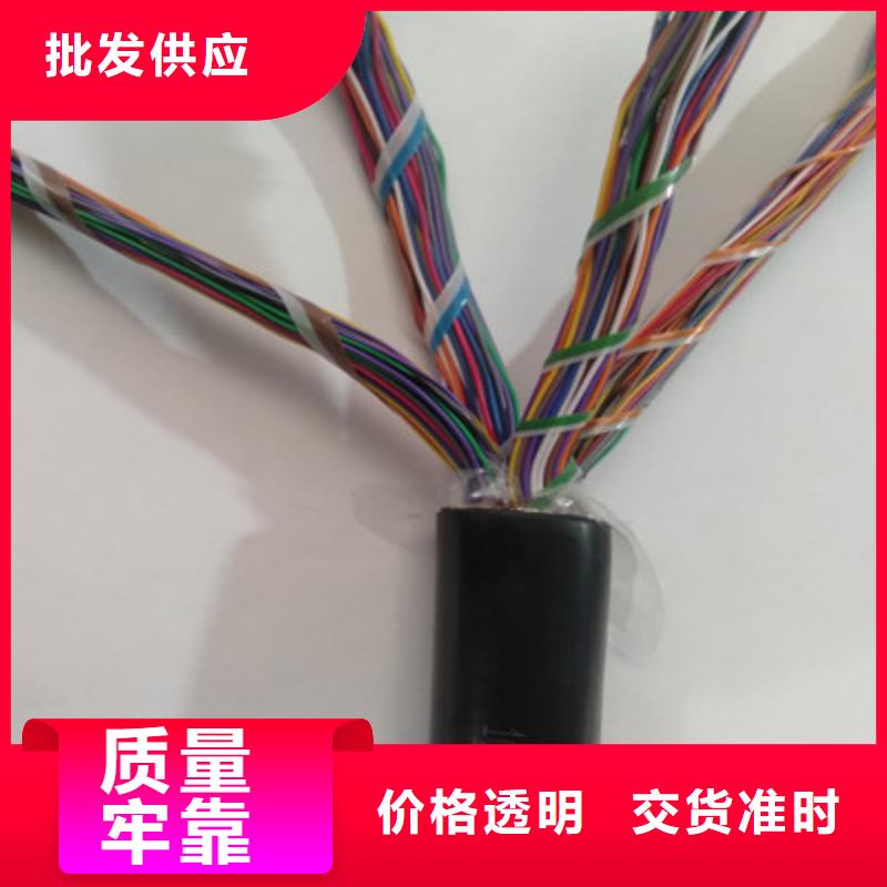 通信电缆视频-西峡|方城|许昌|商丘|信阳|开封|漯河|三门峡|洛阳通信电缆现货齐全售后无忧-电缆总厂分厂(南阳市分公司)