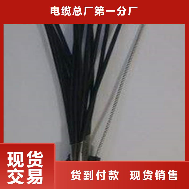通信电缆视频-通信电缆|山西省大同市|广灵|左云|忻州|阳泉|太原|晋城|朔州|吕梁