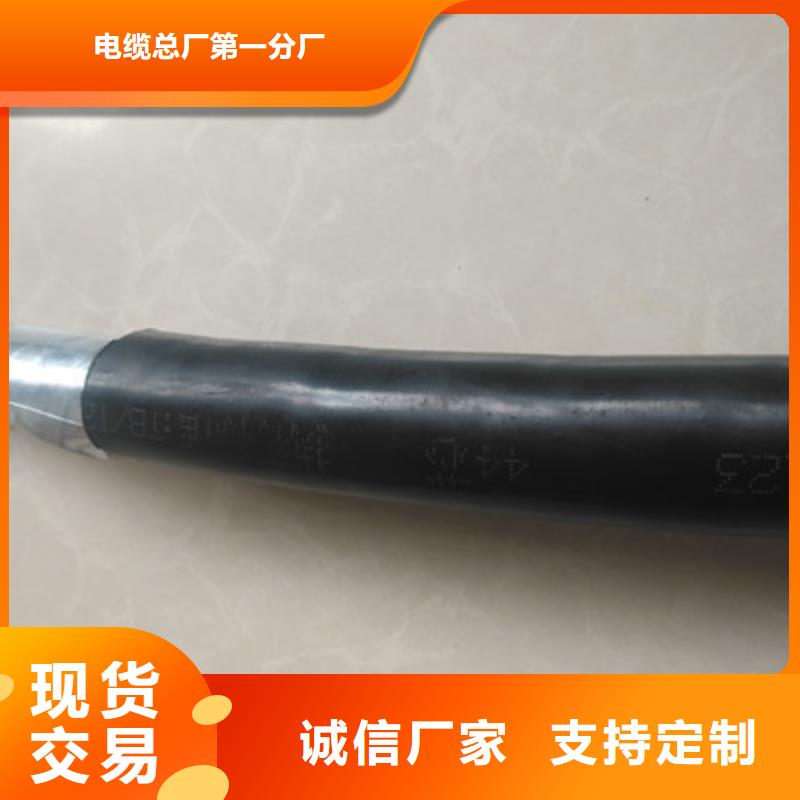 【铁路信号电缆信号电缆制造厂家】