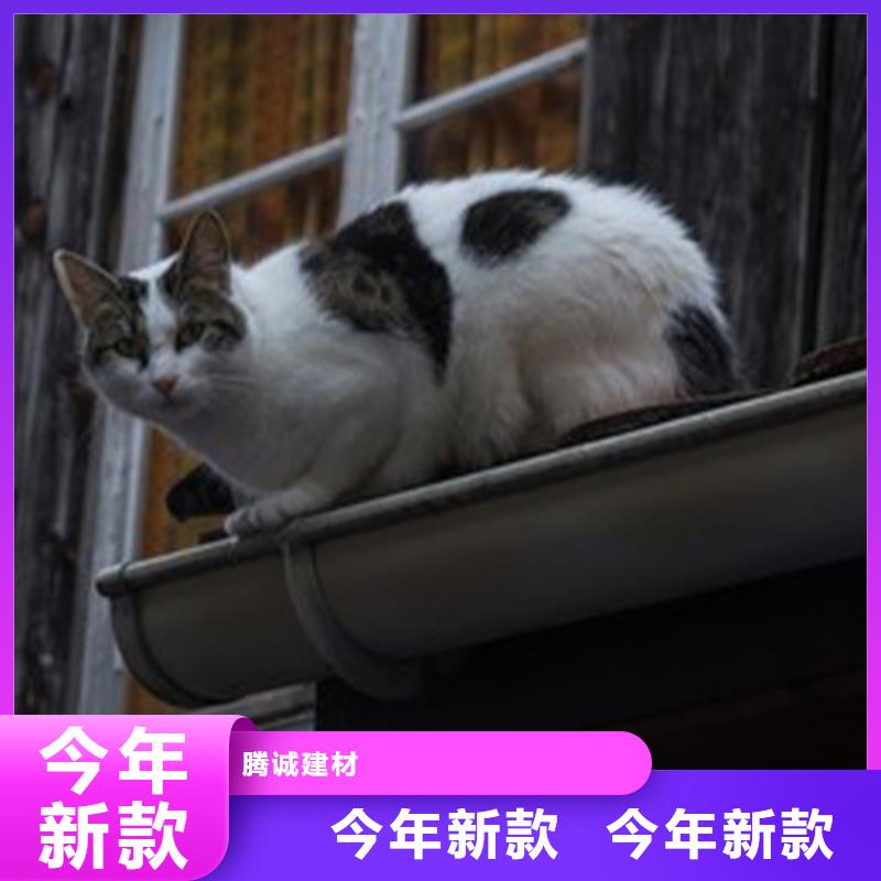 天沟_铝合金雨水管一对一为您服务