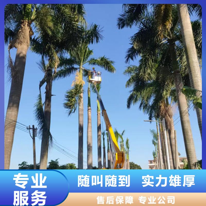 车载升降平台车专业服务