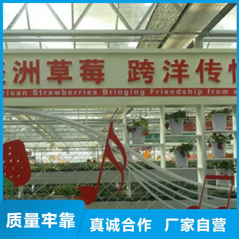 草莓苗_梨树苗基地质保一年
