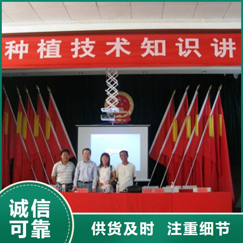 草莓苗无籽葡萄树苗款式多样