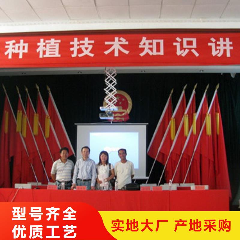 草莓苗黄桃树苗严谨工艺