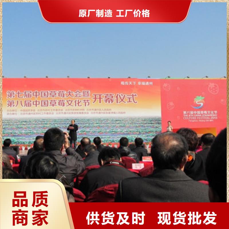 草莓苗 蜂糖李子树苗加工定制