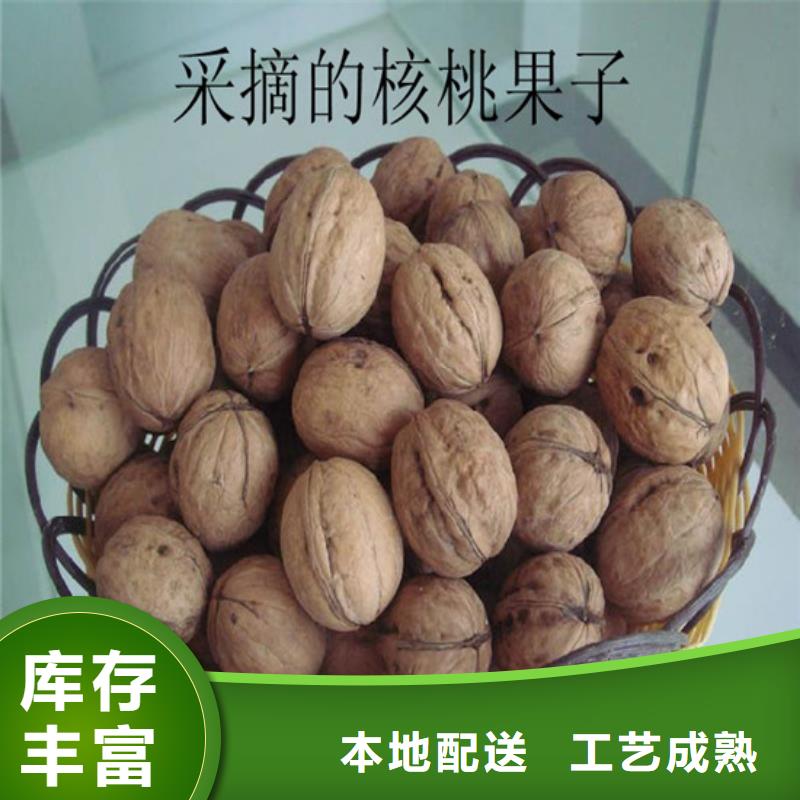 红颜草莓视频-红颜草莓|陕西省延安市|黄陵|洛川|咸阳|商洛|宝鸡|安康