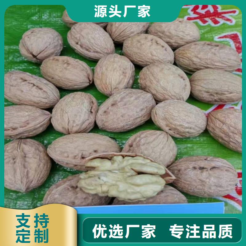 核桃苗徐香猕猴桃树苗省心又省钱