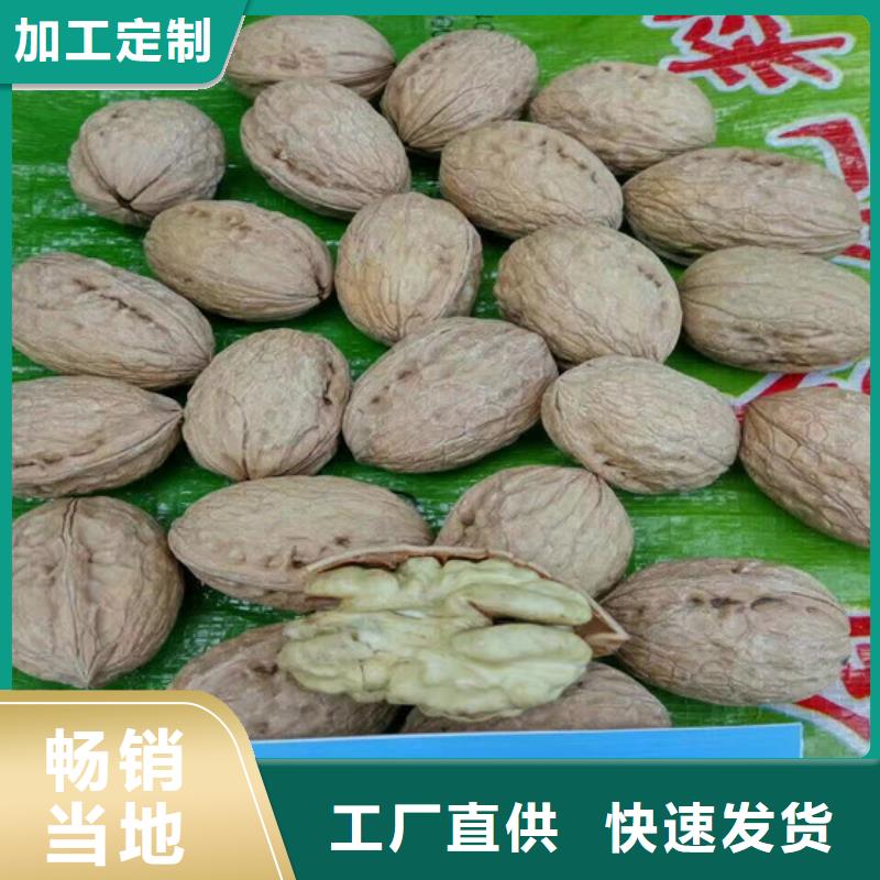 核桃苗草莓苗价格优选厂家