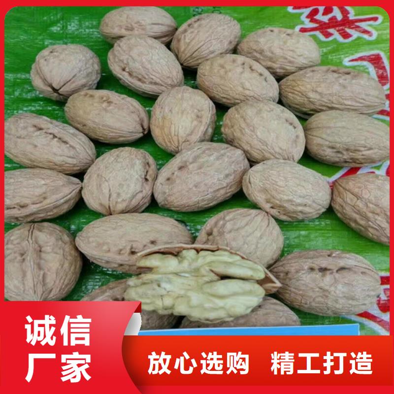 核桃苗_大棚草莓苗品质做服务