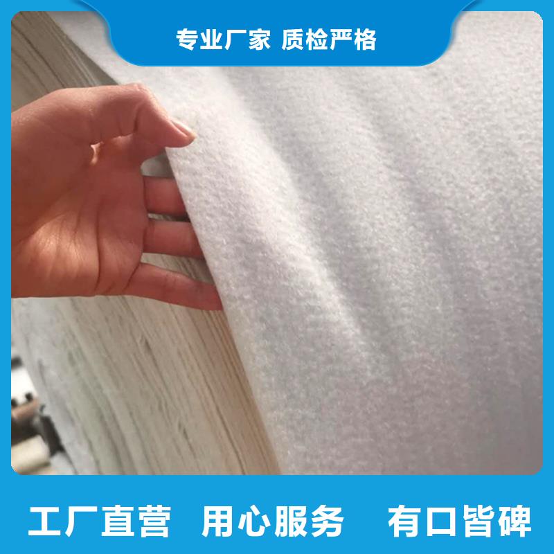 土工布_防水排水板来电咨询