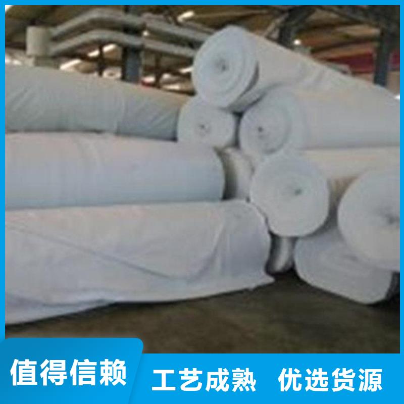 土工布HDPE土工膜源头把关放心选购