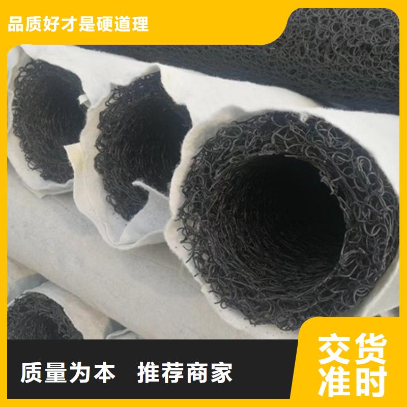 塑料盲沟HDPE土工膜多年行业经验