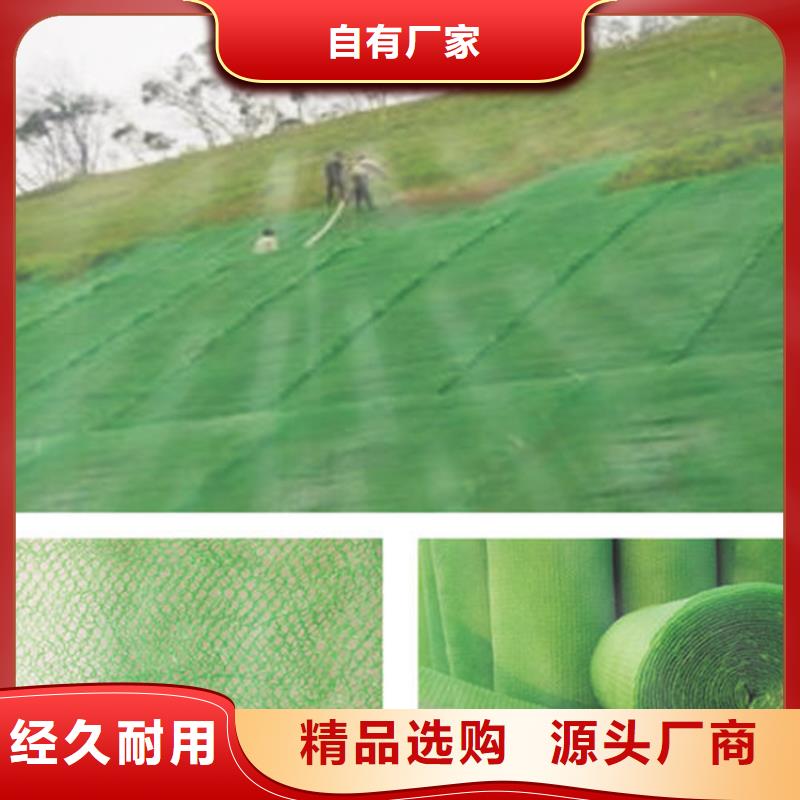 三维植被网,膨润土防水毯工厂直供
