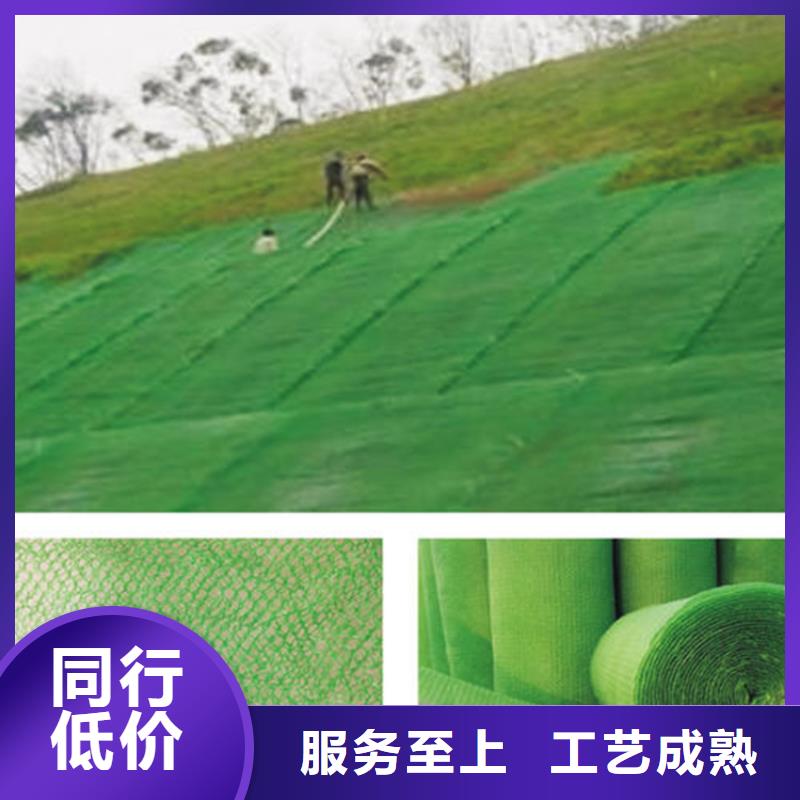 三维植被网土工席支持拿样