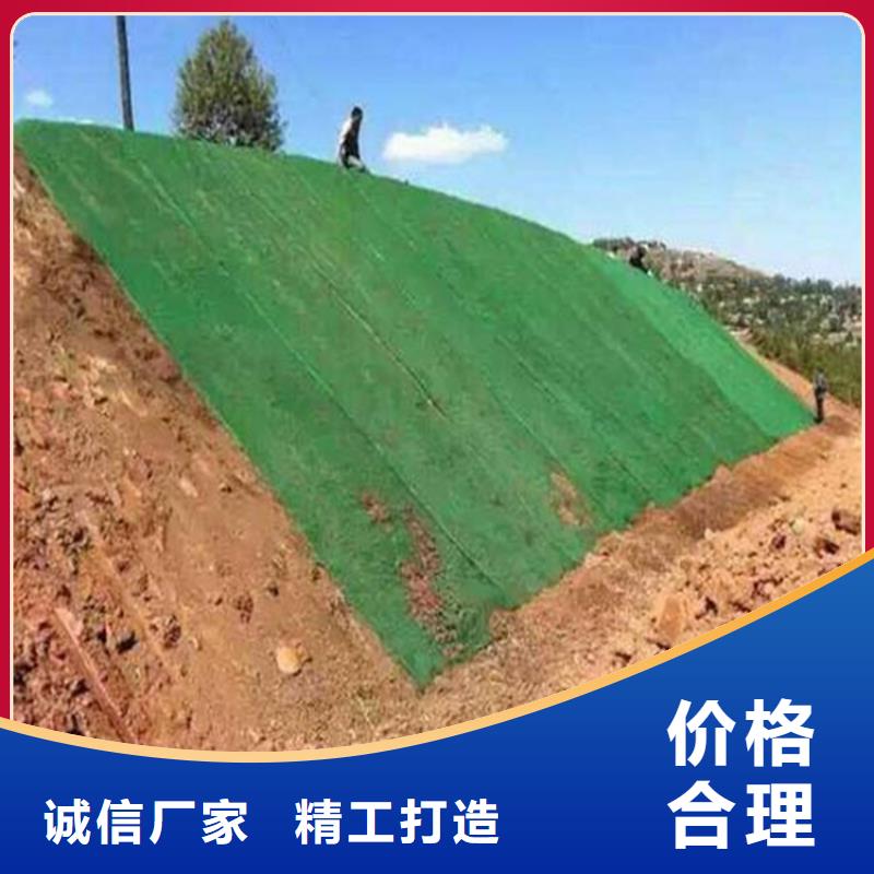 三维植被网土工席支持拿样