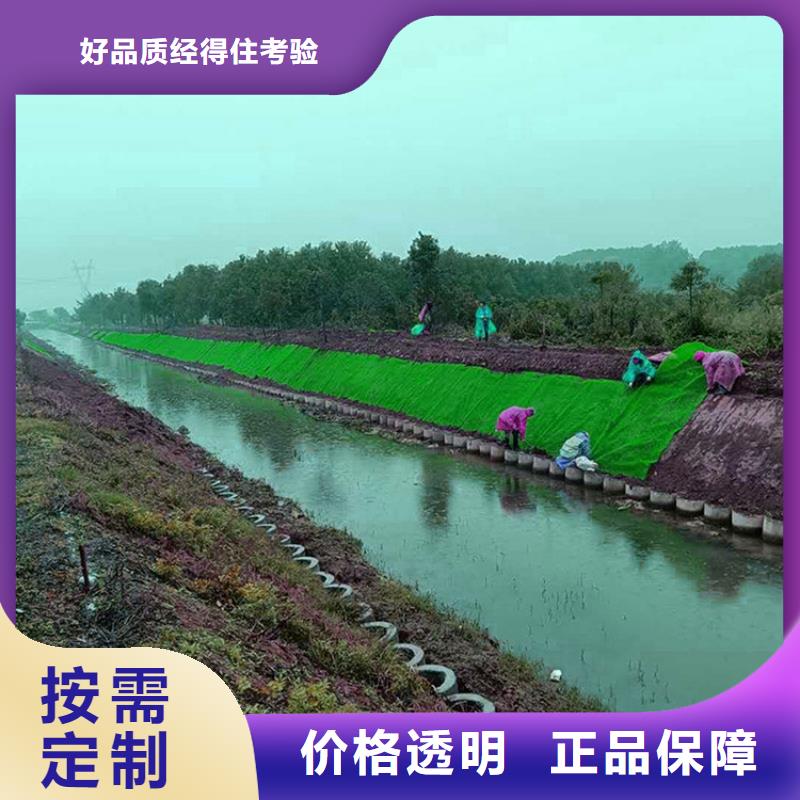 防草布视频-开阳|南明|黔西南|黔东南|遵义|黔南|六盘水|安顺|毕节鼎诺防草布_ 鼎诺土工材料(贵阳市分公司)