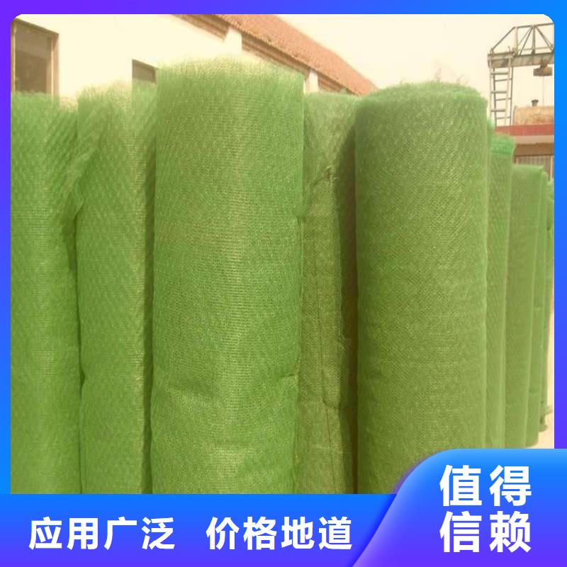 三维植被网土工席支持拿样
