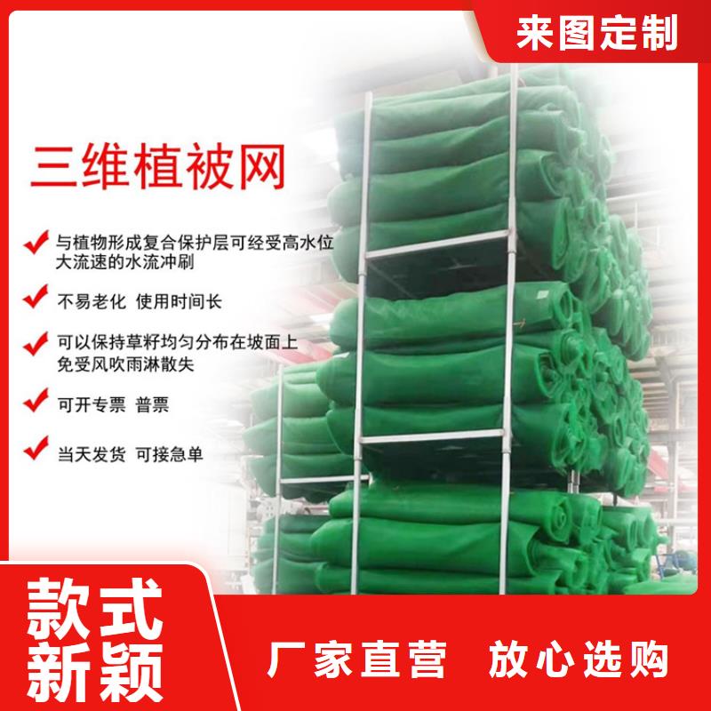 三维植被网土工席支持拿样