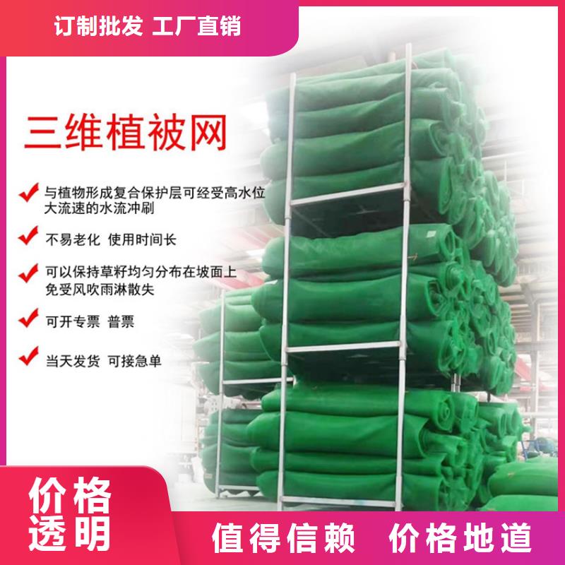 三维植被网_保湿布专业供货品质管控