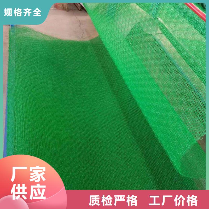 三维植被网_保湿布专业供货品质管控