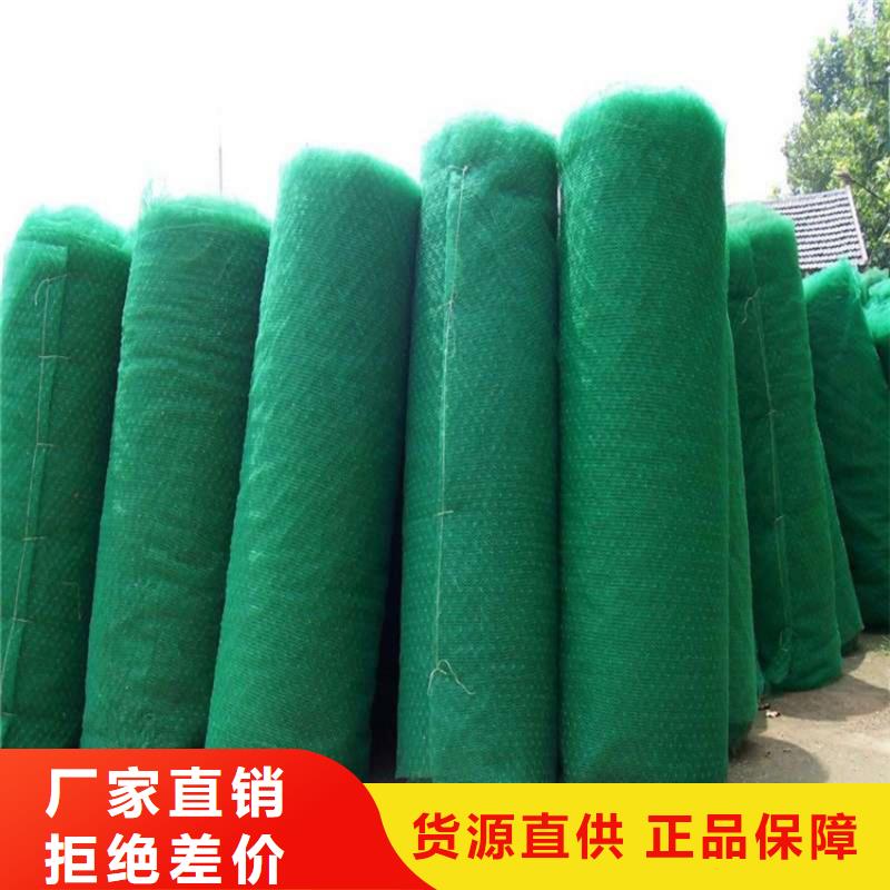 三维植被网,膨润土防水毯工厂直供