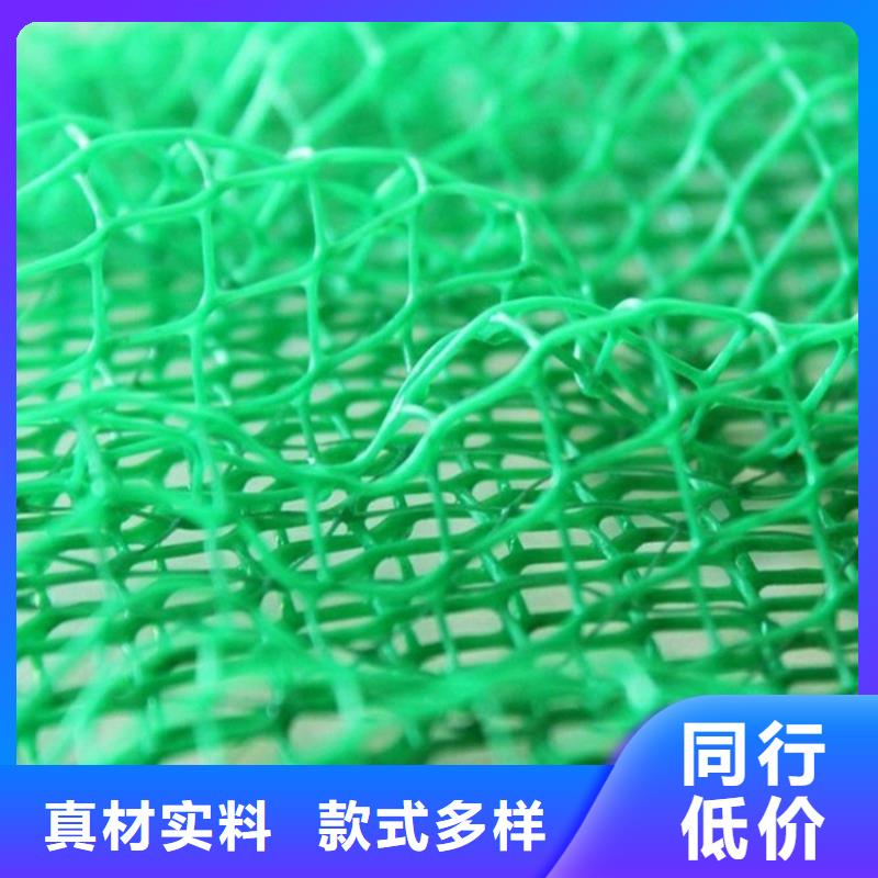 三维植被网土工席支持拿样