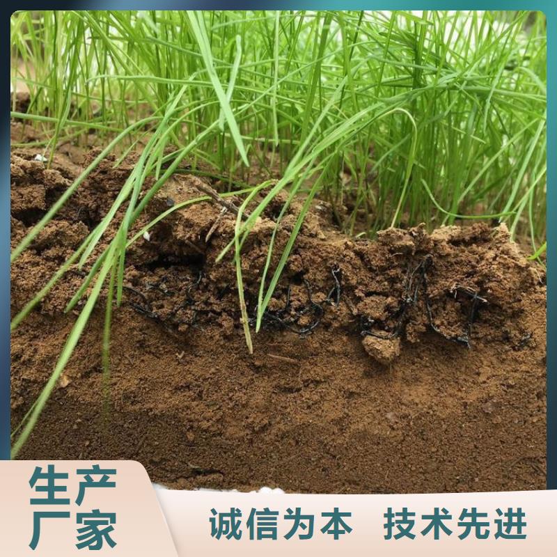 防草布视频-防草布-鼎诺土工材料(宜昌市分公司)服务区域猇亭|夷陵|黄冈|荆州|襄阳|荆门|孝感|咸宁
