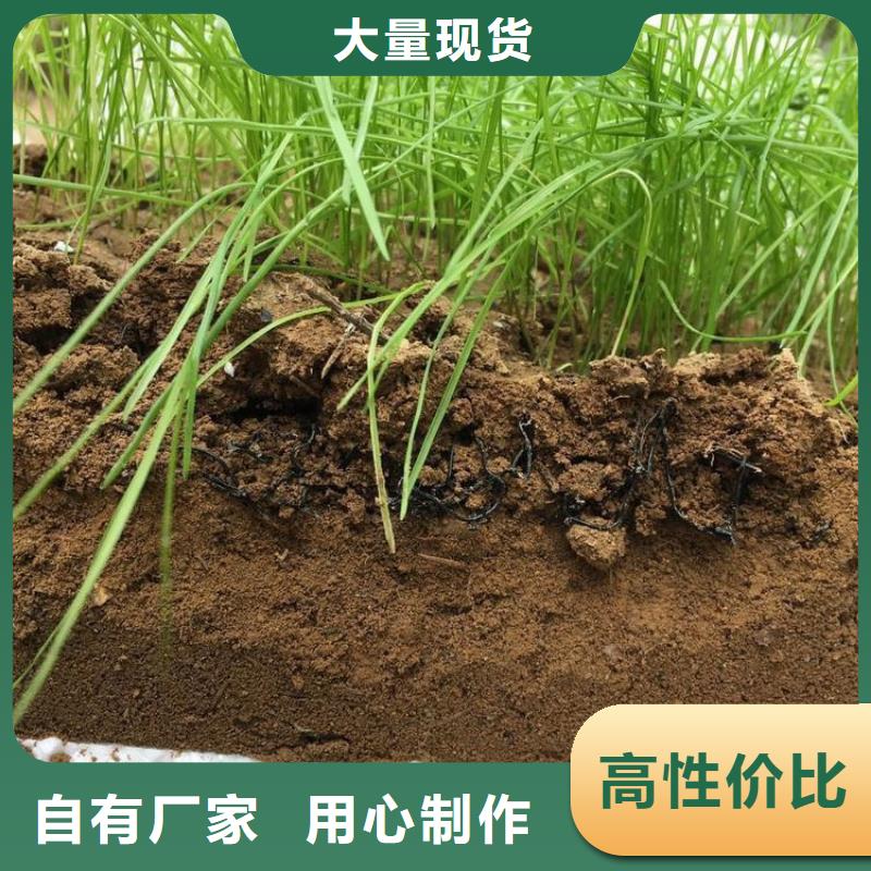防草布视频-防草布-青海省黄南市(同城)货源-玉树|海东|西宁|海北|果洛|海南|海西