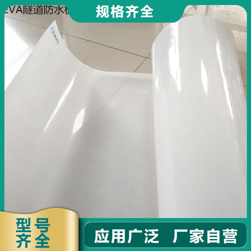 防水板防渗膜工厂直销