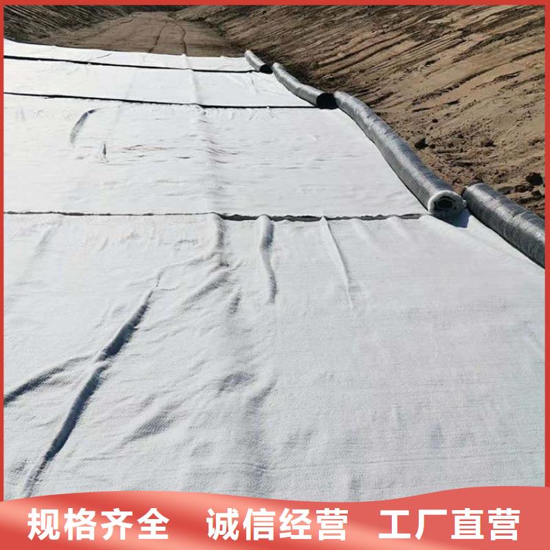 膨润土防水毯-【保湿布】质优价廉