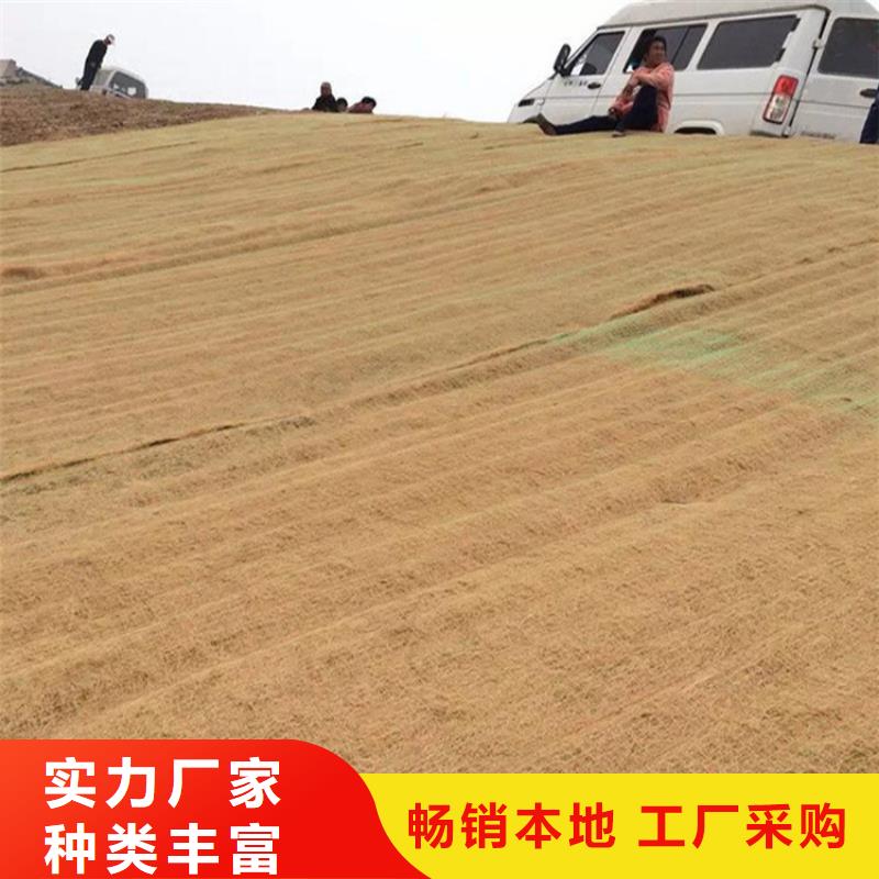 防草布视频-防草布_浙江省市场覆盖嘉兴|金华|宁波|杭州|台州等
