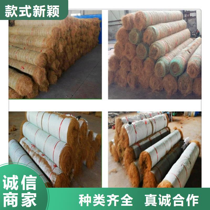 防草布视频-防草布_浙江省市场覆盖嘉兴|金华|宁波|杭州|台州等