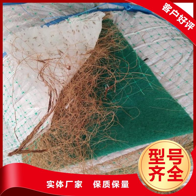 防草布视频-防草布_浙江省市场覆盖嘉兴|金华|宁波|杭州|台州等