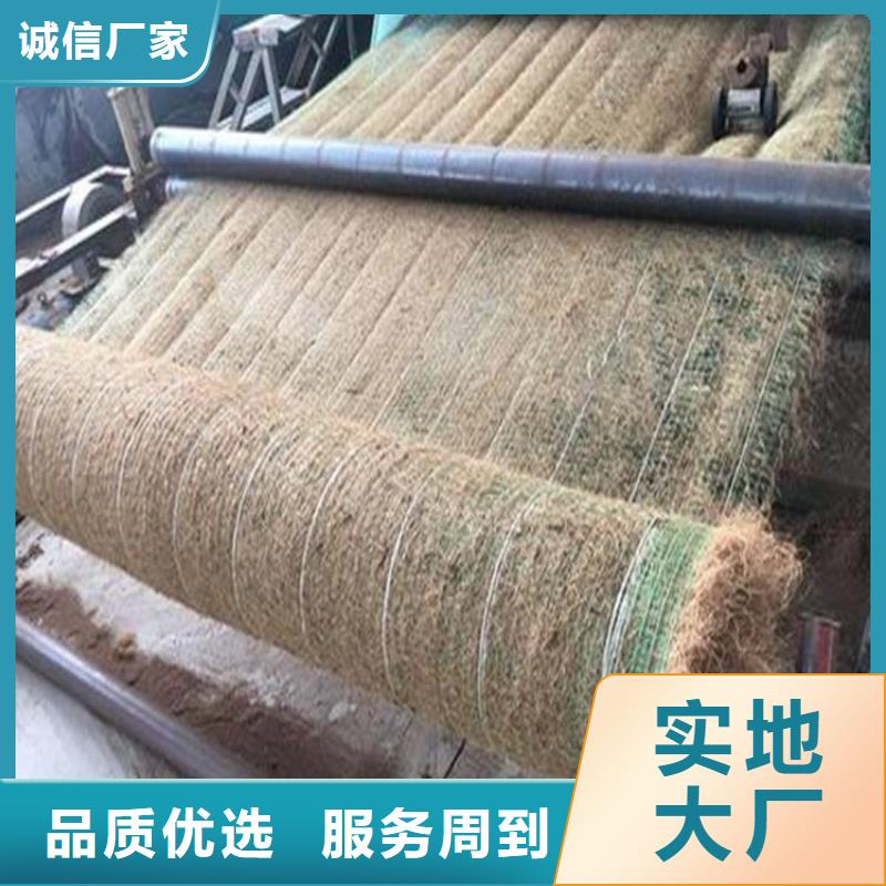 防草布视频-防草布_浙江省市场覆盖嘉兴|金华|宁波|杭州|台州等