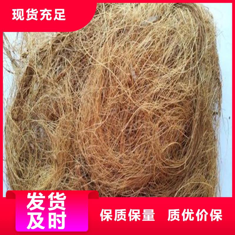 防草布视频-元阳|个旧|昭通|德宏|曲靖|临沧|大理|怒江鼎诺防草布_ 鼎诺土工材料(红河市分公司)