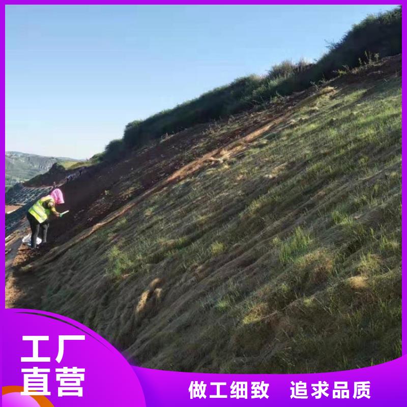 防草布视频-防草布_浙江省市场覆盖嘉兴|金华|宁波|杭州|台州等
