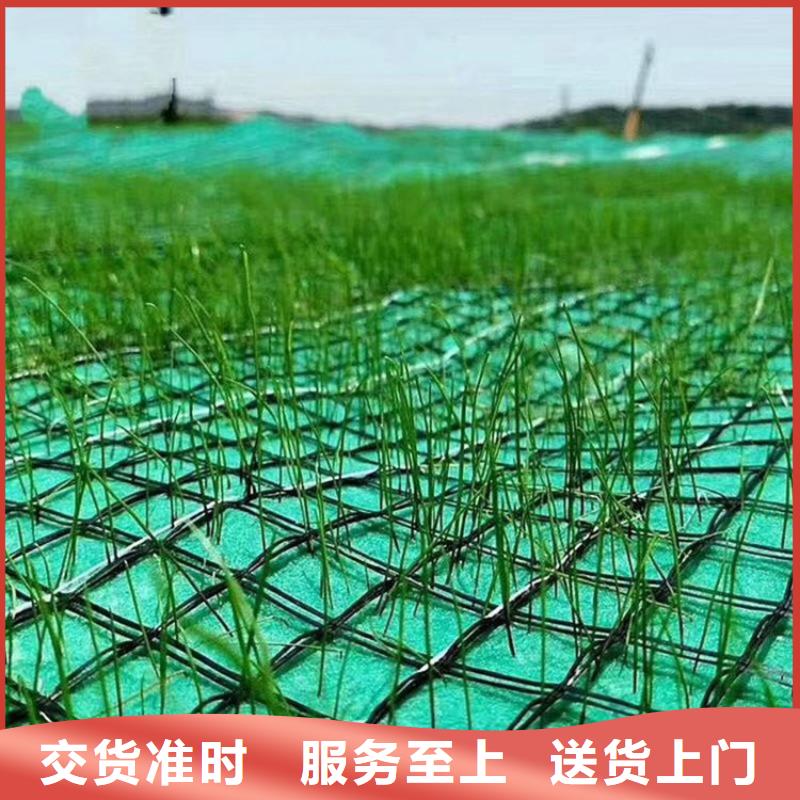 椰丝毯-复合土工膜认准大品牌厂家