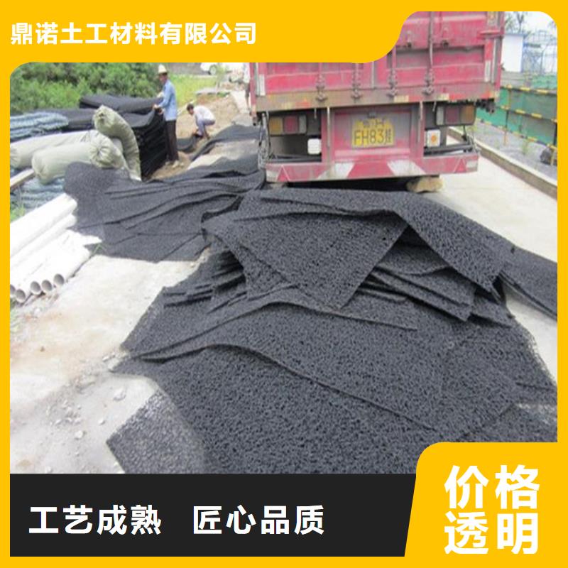 土工席垫,【植草格】厂家直销放心
