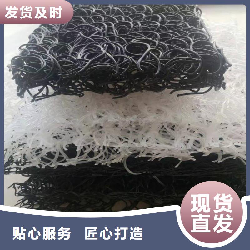 土工席垫HDPE土工膜专注生产制造多年