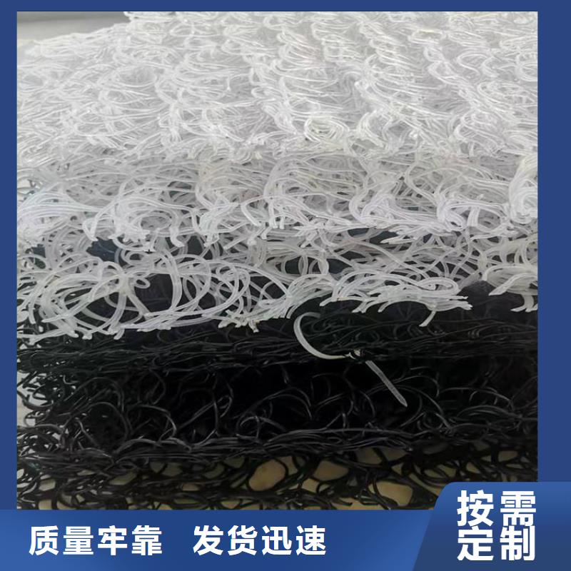 土工席垫HDPE土工膜专注生产制造多年