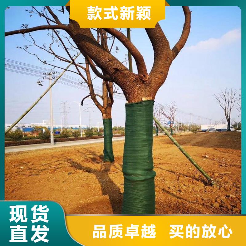 防草布视频-汉滨|汉阴|宝鸡|西安|商洛|铜川|延安|榆林防草布厂家直销值得选择-鼎诺土工材料(安康市分公司)