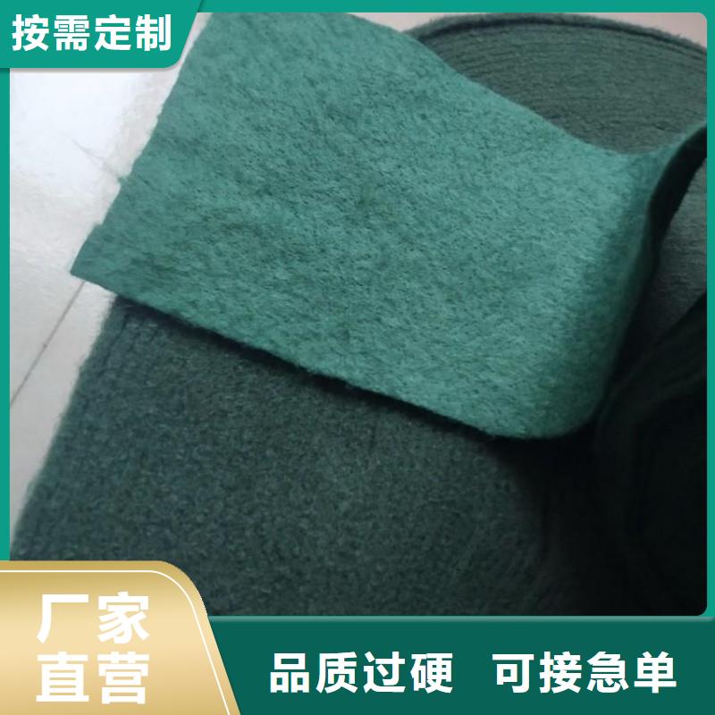 裹树布塑料排水板甄选好厂家