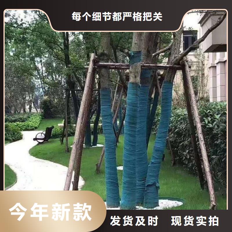 裹树布塑料排水板甄选好厂家