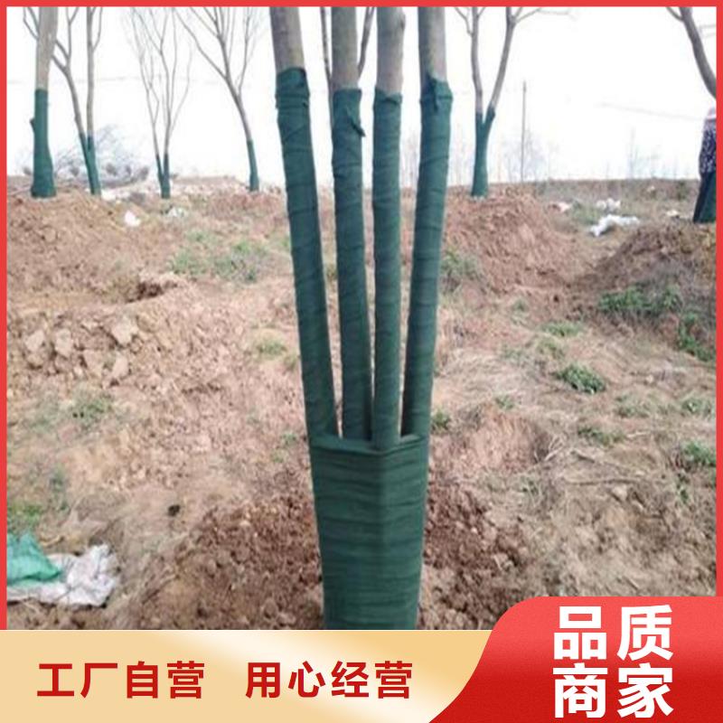 裹树布土工膜价格低